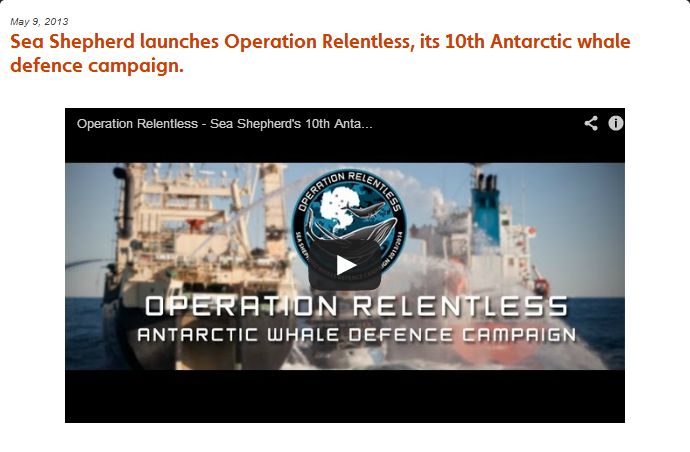 Sea Shepherd relentless